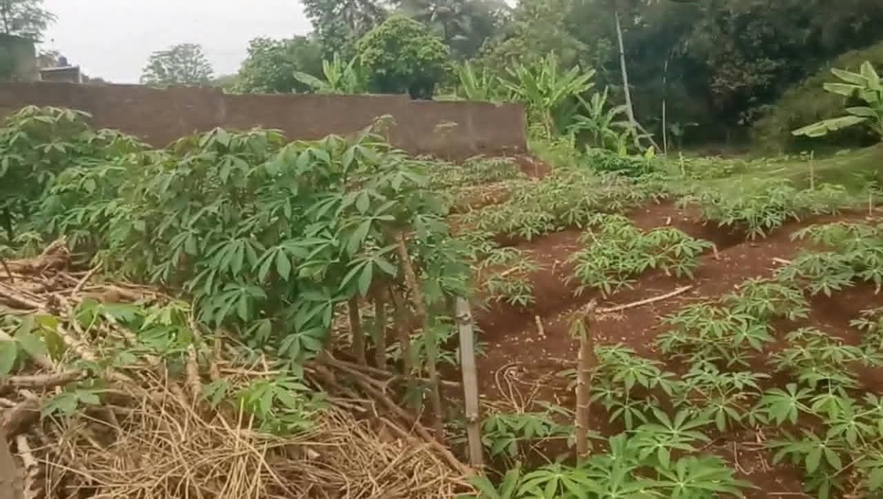 22 Bata Tak Pernah Dijual, Tetapi Muncul Di Sertifikat Orang Lain