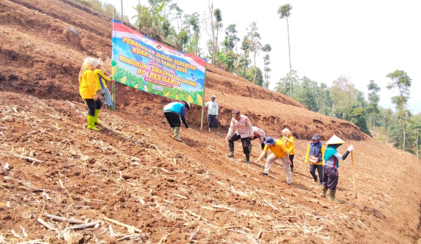 Dari Lahan 2 Hektare, Polsek Sukawening Dorong Produktivitas Jagung dan Ketahanan Pangan