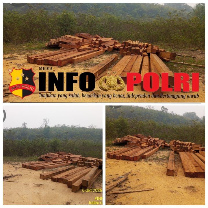 KAYU SEGI GELAP BERBAGAI UKURAN DI RANDAU CEKAK TANPA IZIN HUTAN, TANPA DOKUMEN ANGKUT, TANPA IZIN KELUAR PULAU MEMINTA KETEGASAN KEPADA KAPOLRES KETAPANG HINGGA KAPOLDA TINDAK TEGAS TANGKAP PARA PENGUASA HUTAN LIAR"