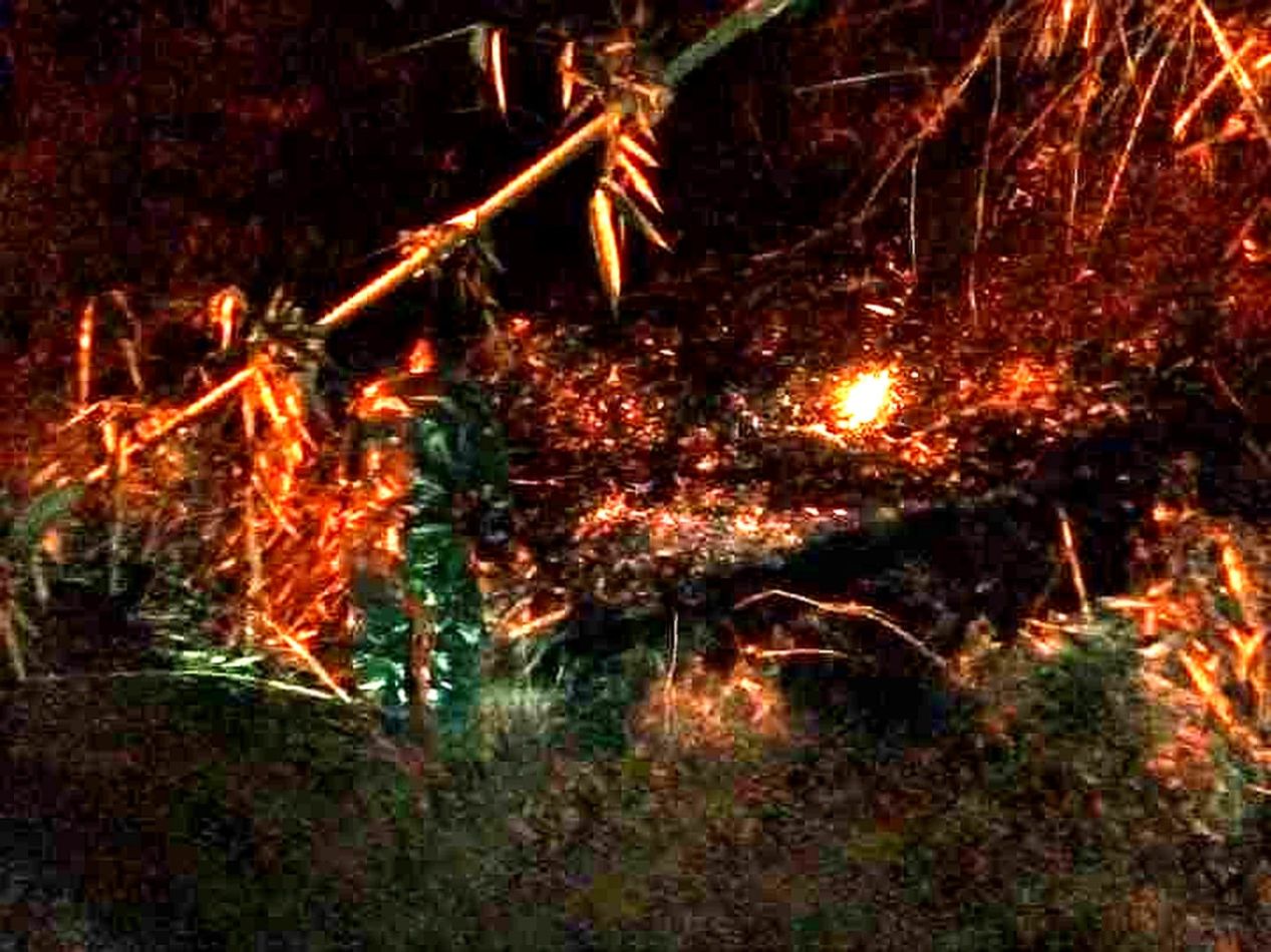 Kebakaran Kebun Bambu di Rancah Kab Ciamis Berhasil Dipadamkan, Tidak Ada Korban Jiwa