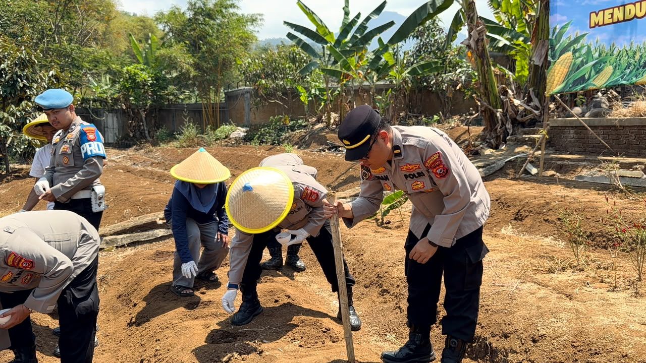 Menuju Indonesia Emas 2045, Polrestabes Bandung Tanam Jagung Serentak Guna Perkuat Ketahanan Pangan